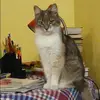 Отзыв от Любовь Фирсова